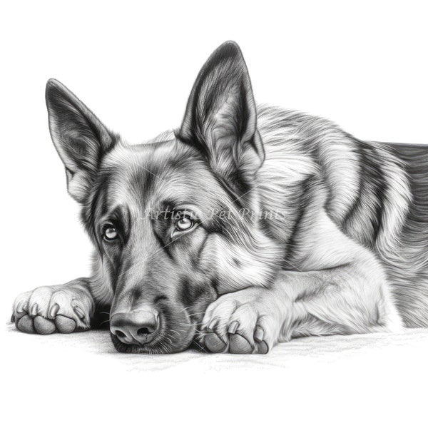 German Shepherd Sketch Drawings - 10 High Quality JPG's - Digital Download! Wall Art, Canvas Art, Painting, Card Making, Mugs, Coasters