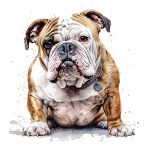 Bulldog Clipart - 10 High Quality Watercolor JPG's - Digital Download! Card Making, Wall Art, Canvas Art, Sublimation, Mugs, Planners