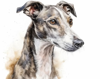Pode incluir: Pintura em aquarela de um galgo com pelagem branca e cinza. O cão tem olhos castanhos e um nariz preto. A obra de arte tem um efeito aquarela com respingos marrons e cinza.