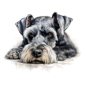 Schnauzer Clipart - 10 High Quality Watercolor JPG's - Digital Download! Wall Art, Canvas Art, Painting, Card Making, Mugs, Coasters