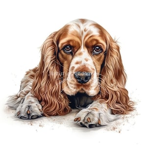 Cocker Spaniel Clipart - 10 High Quality Watercolor JPG's - Digital Download! Wall Art, Canvas Art, Painting, Card Making, Mugs, Coasters