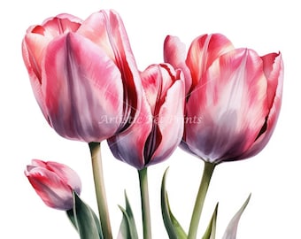 Tulips Clipart - 10 High Quality JPG Images - Digital Download - Watercolor for Card Making, Wall Art, Digital Paper Craft