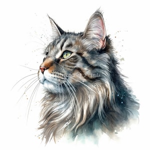 Norwegian Forest Cat Clipart - 10 High Quality Watercolor JPG&#39;s - Digital Download! Wall Art, Canvas Art, Painting, Card Making, Mugs, Etc
