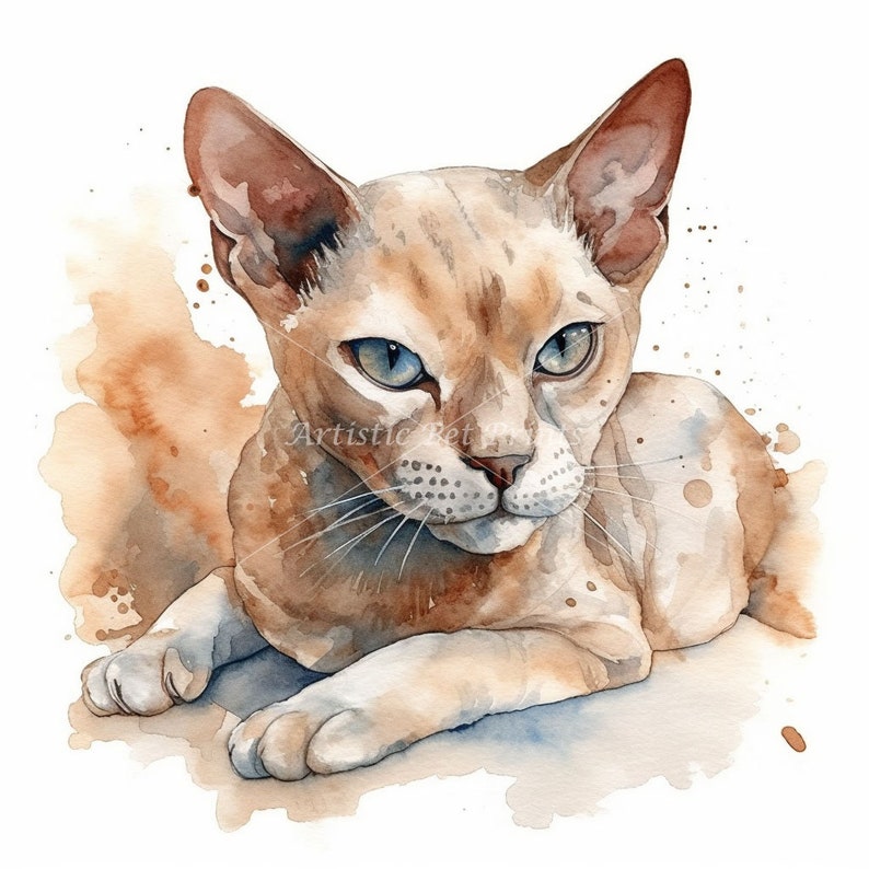 Devon Rex Clipart - 10 High Quality Watercolor Jpg's - Digital Download ...