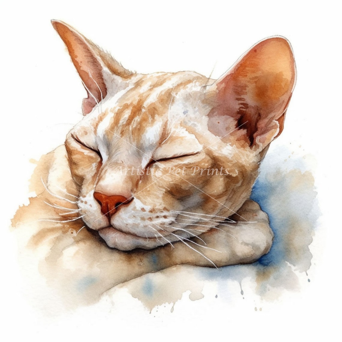 Devon Rex Clipart - 10 High Quality Watercolor Jpg's - Digital Download ...