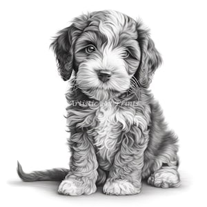 May include: A detailed black and white pencil drawing of a fluffy puppy sitting and looking forward. The puppy has a white and black coat, with long, curly fur. The text "Artistic Pet Prints" is visible.