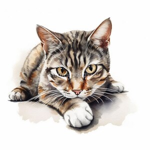 American Wirehair Clipart - 12 High Quality Watercolor JPG&#39;s - Digital Download! Wall Art, Canvas Art, Painting, Card Making, Mugs, Coasters