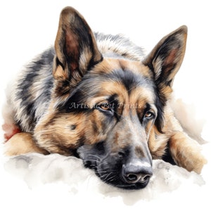 German Shepherd Clipart 10 High Quality Watercolor JPG's Digital Download Wall Art, Canvas Art, Painting, Card Making, Mugs, Coasters image 8