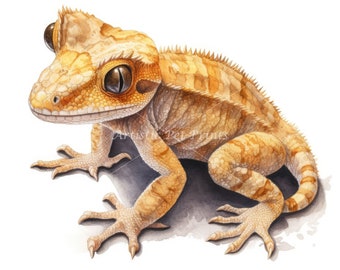 Crested Gecko Clipart - 10 High Quality Watercolor JPG's - Digital Download! Wall Art, Canvas Art, Painting, Card Making, Mugs, Coasters