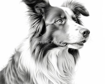 Border Collie Sketch Drawings - 10 High Quality JPG's - Digital Download! Wall Art, Canvas Art, Painting, Card Making, Mugs