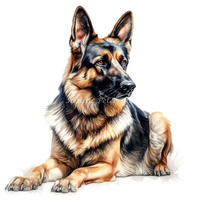 German Shepherd Clipart 10 High Quality Watercolor JPG's Digital Download Wall Art, Canvas Art, Painting, Card Making, Mugs, Coasters image 10