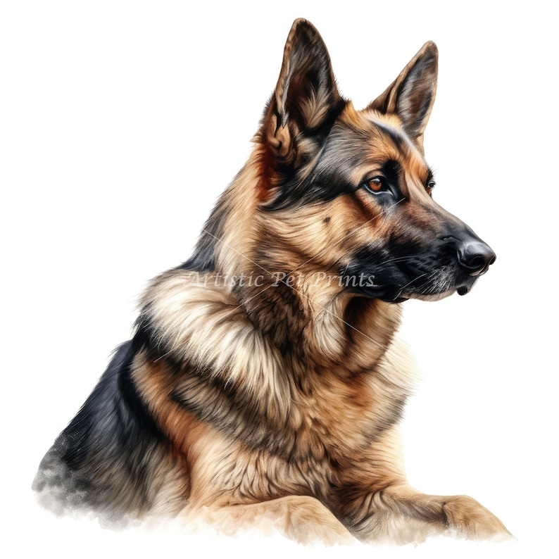 German Shepherd Clipart 10 High Quality Watercolor JPG's Digital Download Wall Art, Canvas Art, Painting, Card Making, Mugs, Coasters image 7