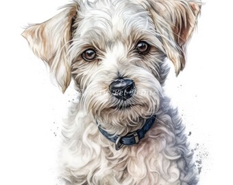 White Jackapoo Clipart - 10 High Quality Watercolor JPG's - Digital Download! Card Making, Wall Art, Canvas Art, Sublimation, Mugs