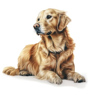 Golden Retriever Clipart - 10 High Quality Watercolor JPG's - Digital Download! Wall Art, Canvas Art, Painting, Card Making, Mugs, Coasters