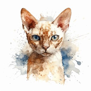 Devon Rex Clipart - 10 High Quality Watercolor Jpg's - Digital Download ...