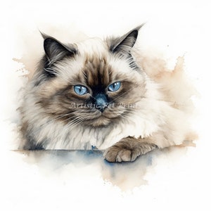 Himalayan Cat Clipart - 10 High Quality Watercolor JPG's - Digital Download! Wall Art, Canvas Art, Painting, Card Making, Mugs, Etc