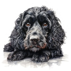 Black Cockapoo Clipart - 10 High Quality Watercolor JPG's - Digital Download! Card Making, Wall Art, Canvas Art, Sublimation, Mugs, Etc...