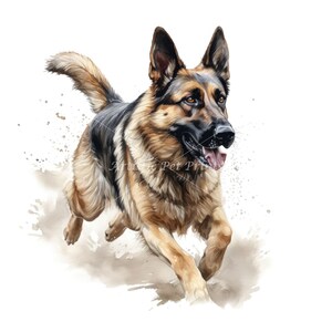 German Shepherd Clipart 10 High Quality Watercolor JPG's Digital Download Wall Art, Canvas Art, Painting, Card Making, Mugs, Coasters image 6