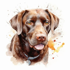 Chocolate Labrador Clipart - 10 High Quality Watercolor JPG's - Digital Download! Wall Art, Canvas Art, Painting, Card Making, Mugs, Etc image 8