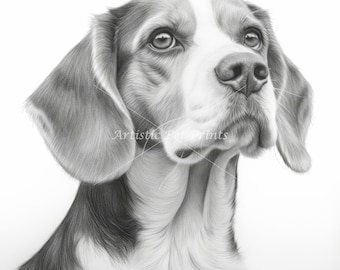 ビーグル犬の鉛筆画 - ファインアート犬のスケッチ（デジタル