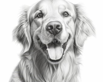 Golden Retriever Sketch Drawings - 10 High Quality JPG's - Digital Download! Wall Art, Canvas Art, Painting, Card Making, Mugs, Coasters