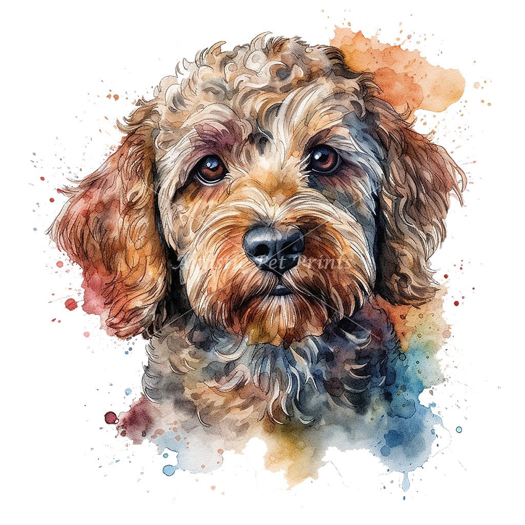 Cockapoo Digital Cockapoo Clipart Watercolor - 10 High Quality Jpg's - Digital Download ...