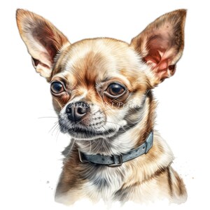 Chihuahua Clipart - 10 High Quality Watercolor JPG's - Digital Download! Wall Art, Canvas Art, Painting, Card Making, Mugs, Coasters
