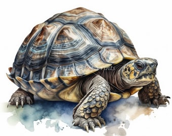 Russian Tortoise Clipart - 10 High Quality Watercolor JPG's - Digital Download! Wall Art, Canvas Art, Painting, Card Making, Mugs, Coasters