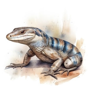 Blue Tongued Skink Clipart - 10 High Quality Watercolor JPG&#39;s - Digital Download! Wall Art, Canvas Art, Painting, Card Making, Mugs, Etc