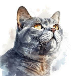 British Shorthair Clipart - 10 High Quality Watercolor JPG&#39;s - Digital Download! Wall Art, Canvas Art, Painting, Card Making, Mugs, Coasters