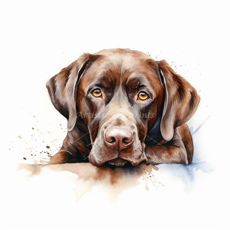 Chocolate Labrador Clipart - 10 High Quality Watercolor JPG's - Digital Download! Wall Art, Canvas Art, Painting, Card Making, Mugs, Etc image 4
