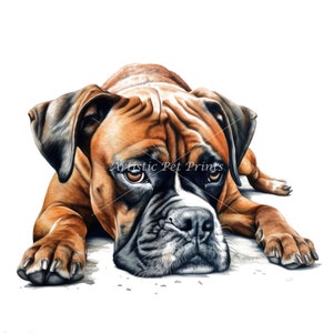 Boxer Hund Clipart - 10 hochwertige Aquarell JPG's - Digitaler Download! Kartengestaltung, Wandkunst, Leinwandkunst, Sublimation, Tassen, Planer