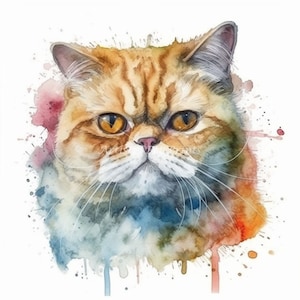 Exotic Shorthair Clipart - 10 High Quality Watercolor JPG's - Digital Download! Wall Art, Canvas Art, Painting, Card Making, Mugs, Etc
