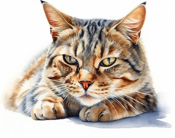 オリジナル油絵肖像画 ジャパニーズボブテイルロングヘアー