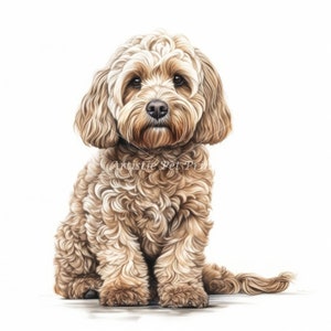 Champagne Cockapoo Clipart - 10 High Quality Watercolor Jpg's - Digital ...