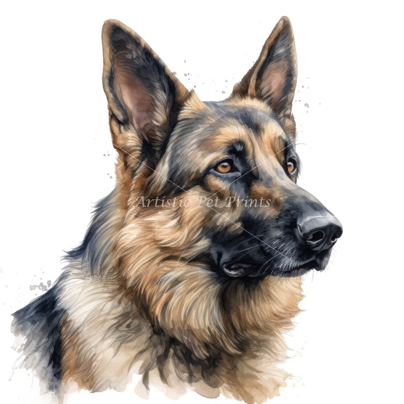 German Shepherd Clipart 10 High Quality Watercolor JPG's Digital Download Wall Art, Canvas Art, Painting, Card Making, Mugs, Coasters image 2