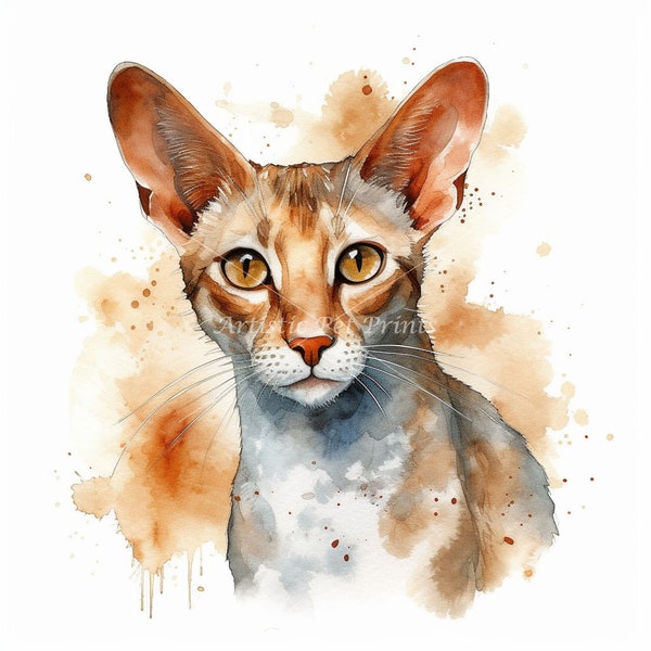 Oriental Shorthair Clipart - 10 High Quality Watercolor JPG's - Digital Download! Wall Art, Canvas Art, Painting, Card Making, Mugs, Etc