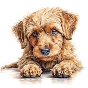 May include: A detailed illustration of a small, fluffy, brown puppy with big, dark eyes. The puppy is lying down, paws extended, with a soft, inviting expression. The fur is a mix of light and dark brown, creating a textured appearance.