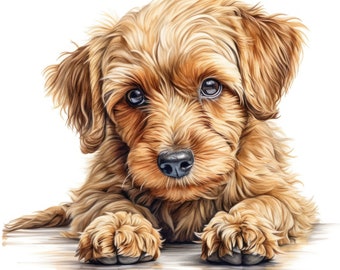Golden Jackapoo Clipart - 10 High Quality Watercolor JPG's - Digital Download! Card Making, Wall Art, Canvas Art, Sublimation, Mugs