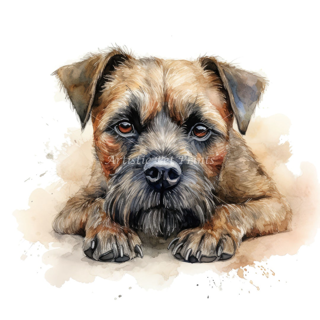 Border Terrier Clipart Watercolor 10 High Quality Jpg's Digital