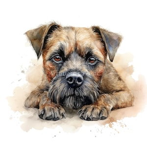 Border Terrier Clipart Watercolor - 10 High Quality JPG's - Digital Download! Wall Art, Canvas Art, Painting, Card Making, Mugs, Coasters