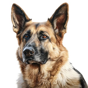 Deutscher Schäferhund Clipart - 10 hochwertige Aquarell-JPGs - Digitaler Download! Wandkunst, Leinwandkunst, Malerei, Kartenherstellung, Tassen, Untersetzer
