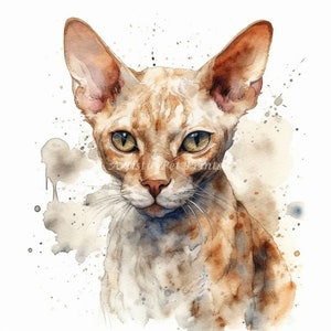 Devon Rex Clipart - 10 High Quality Watercolor JPG&#39;s - Digital Download! Wall Art, Canvas Art, Painting, Card Making, Mugs, Etc