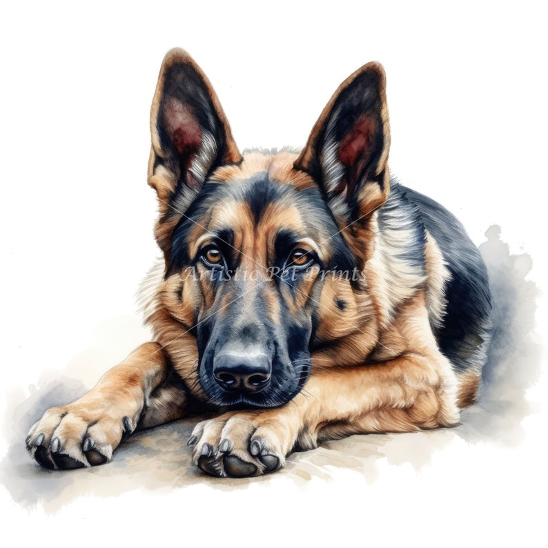 German Shepherd Clipart 10 High Quality Watercolor JPG's Digital Download Wall Art, Canvas Art, Painting, Card Making, Mugs, Coasters image 5