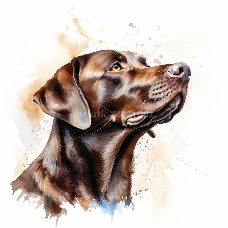 Chocolate Labrador Clipart - 10 High Quality Watercolor JPG's - Digital Download! Wall Art, Canvas Art, Painting, Card Making, Mugs, Etc image 7