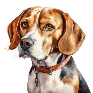 Beagle Clipart - 10 High Quality Watercolor JPG&#39;s - Digital Download! Card Making, Wall Art, Canvas Art, Sublimation, Mugs, Planners
