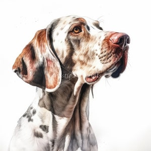 English Pointer Clipart Watercolor - 10 High Quality JPG's - Digital Download! Wall Art, Canvas Art, Painting, Card Making, Mugs, Coasters