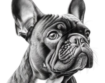 French Bulldog Sketch Drawings - 10 High Quality JPG's - Digital Download! Wall Art, Canvas Art, Painting, Card Making, Mugs, Coasters