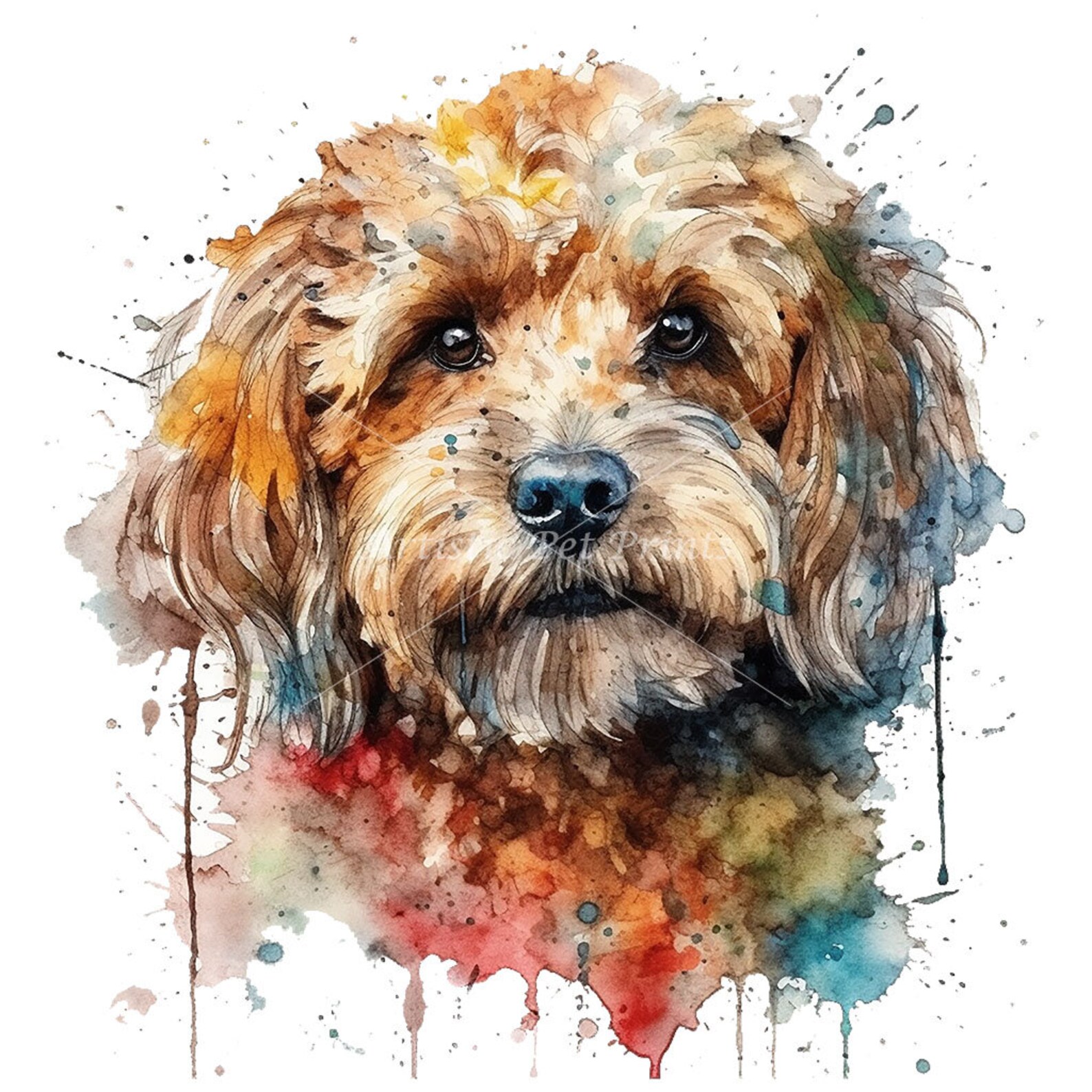 Cockapoo Digital Cockapoo Clipart Watercolor - 10 High Quality Jpg's - Digital Download ...