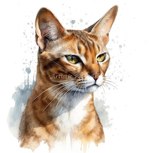 Abyssinian Clipart - 10 High Quality Watercolor JPG&#39;s - Digital Download! Wall Art, Canvas Art, Painting, Card Making, Mugs, Coasters